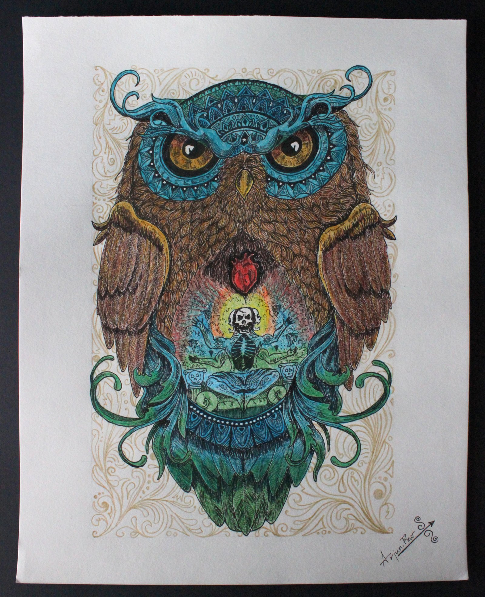 Owls Path.