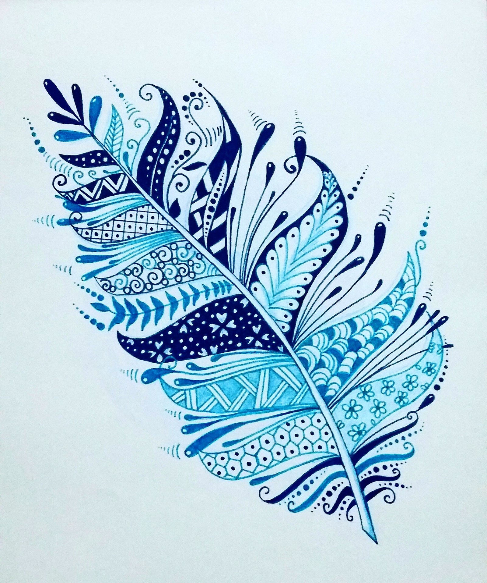 Blue Feather Doodle